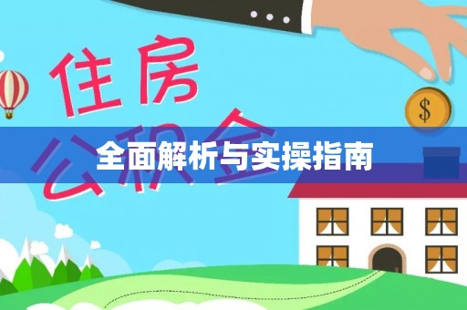 新疆全面解析与实操指南