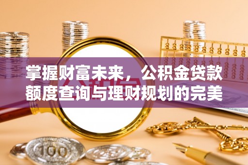 新疆掌握财富未来，公积金贷款额度查询与理财规划的完美结合