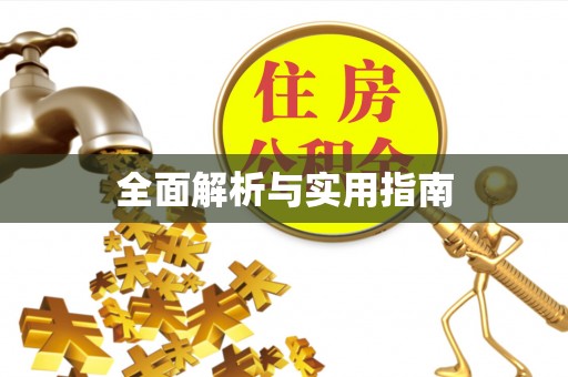 新疆全面解析与实用指南
