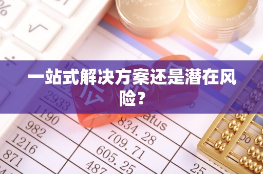 新疆一站式解决方案还是潜在风险？