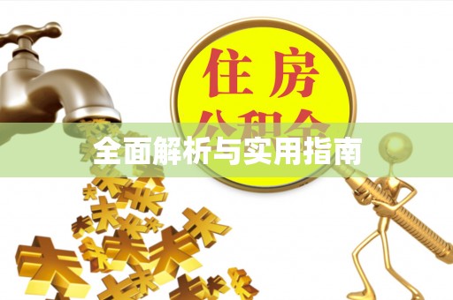 新疆全面解析与实用指南