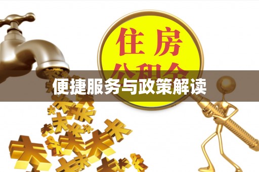 新疆便捷服务与政策解读