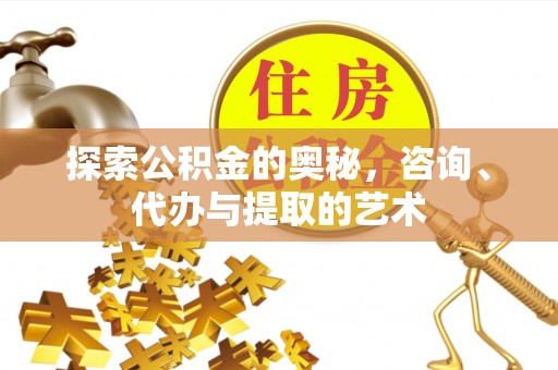 新疆探索公积金的奥秘，咨询、代办与提取的艺术