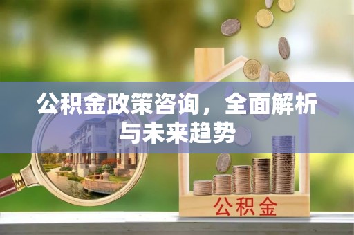 新疆公积金政策咨询，全面解析与未来趋势