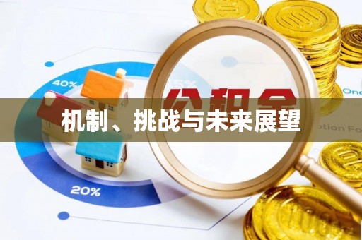 新疆机制、挑战与未来展望